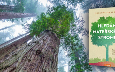 Nakladatelství Kazda uvedlo na trh novou knihu Hledání mateřského stromu